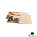 Spirit Island: Feather & Flame - Image 5